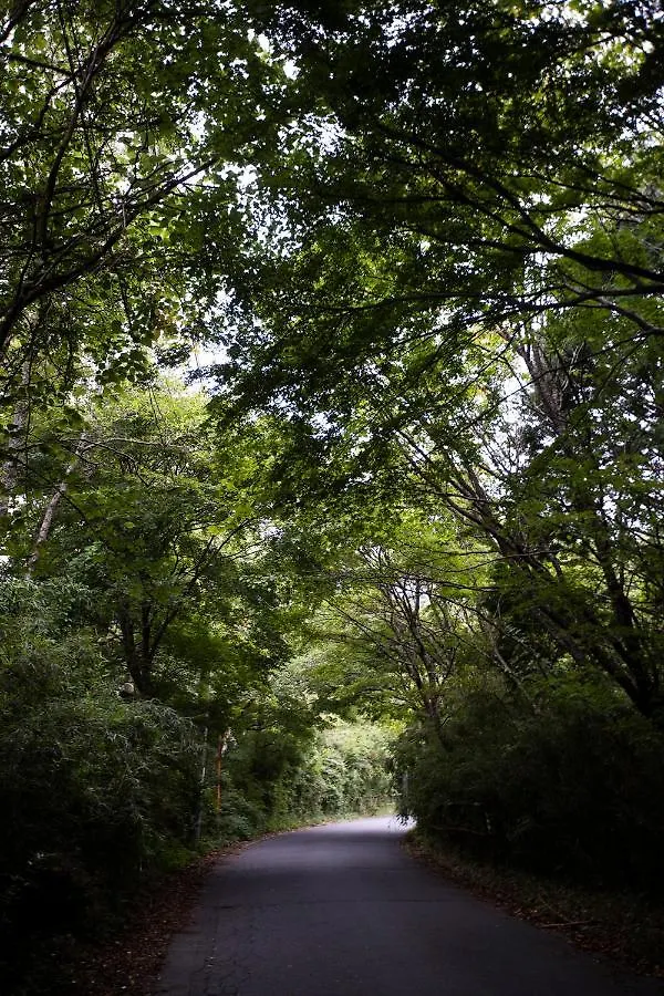 Apartahotel Hotel Sengokuhara 533 Hakone